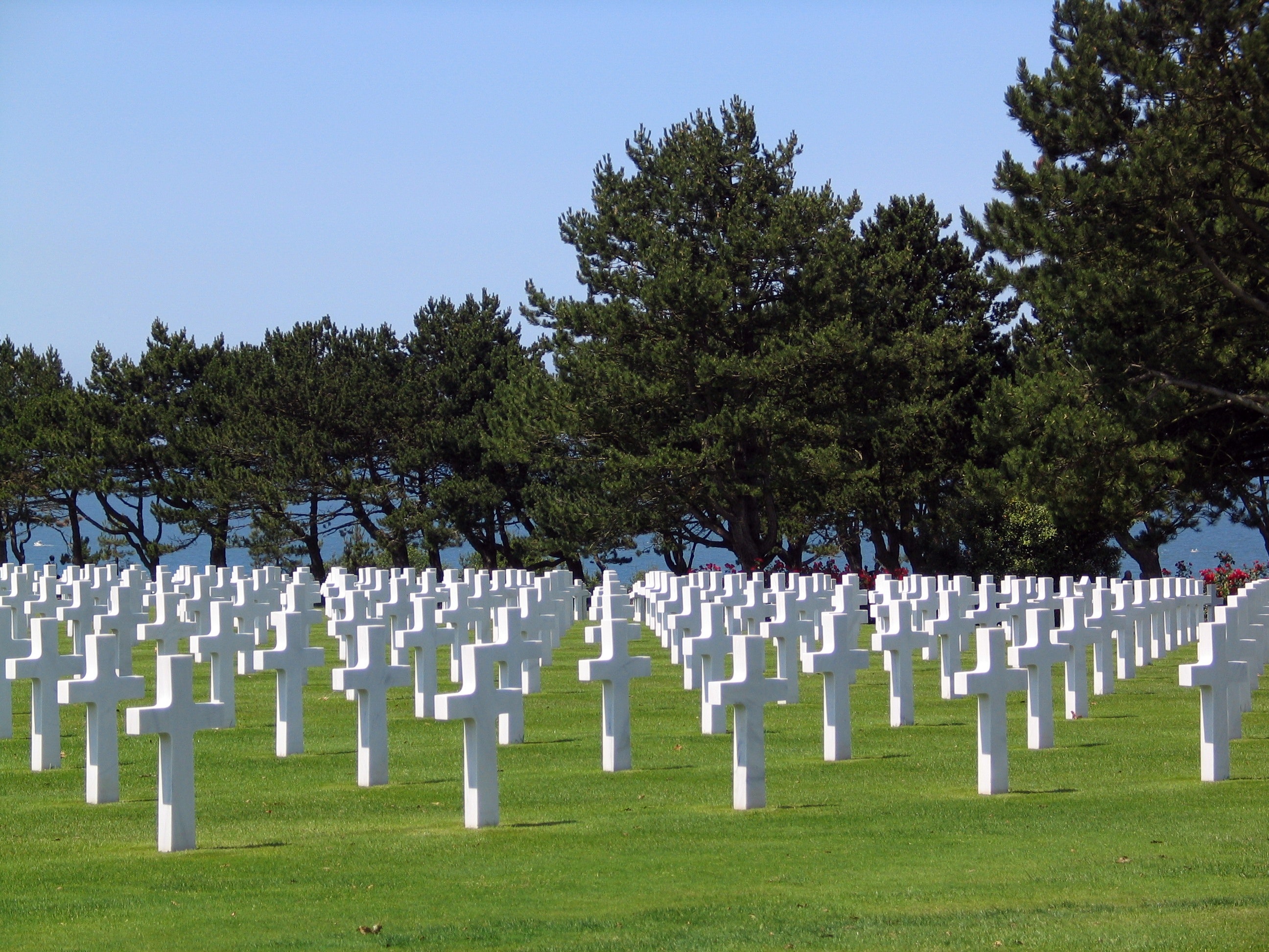 Militär kyrkogård täckt med kors